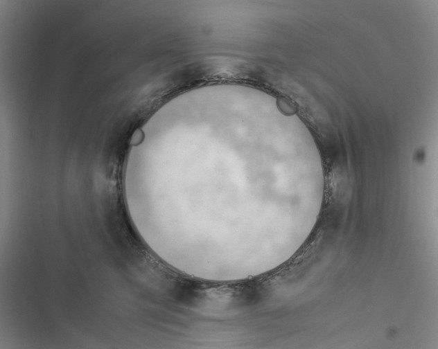 X0000116370423201001131751