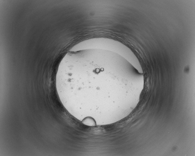 X0000116370424201001131751