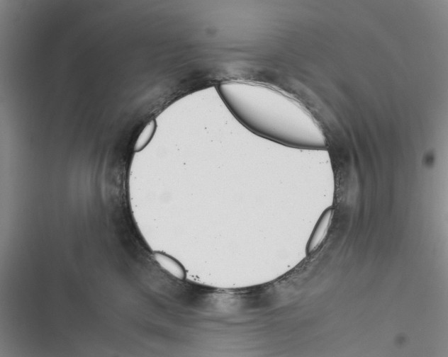 X0000116370425201001131751