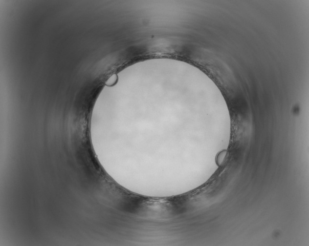 X0000116370427201001131751