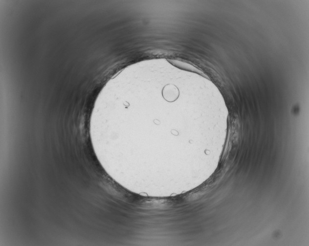 X0000116370428201001131751