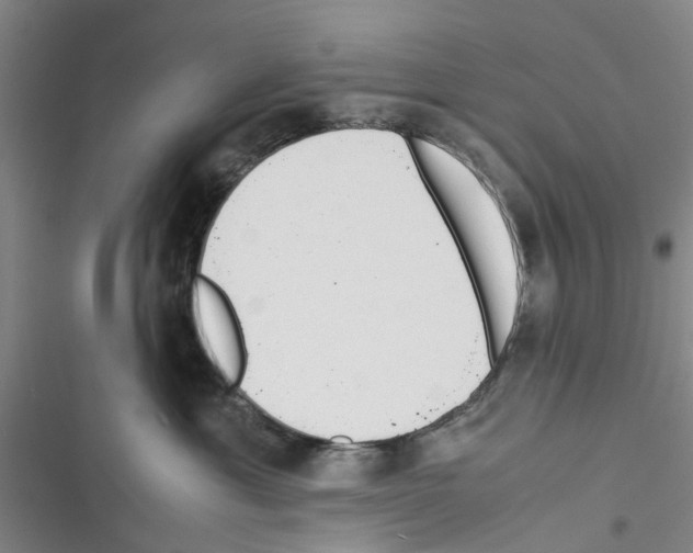 X0000116370429201001131751