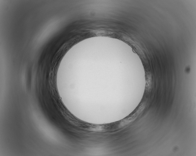 X0000116370430201001131751