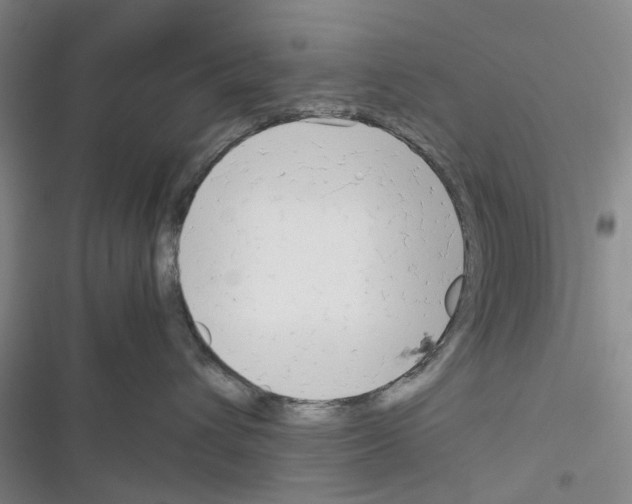 X0000116370432201001131751