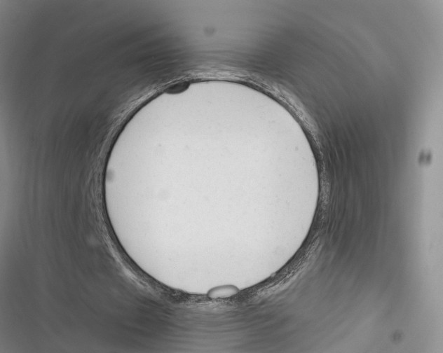 X0000116370433201001131751