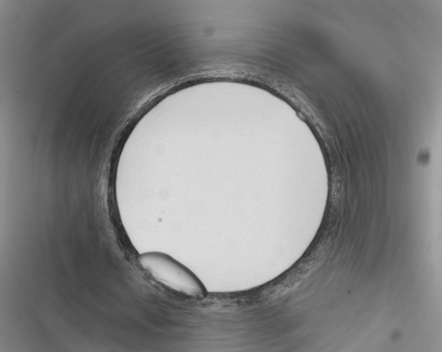 X0000116370434201001131751