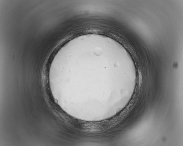 X0000116370435201001131751