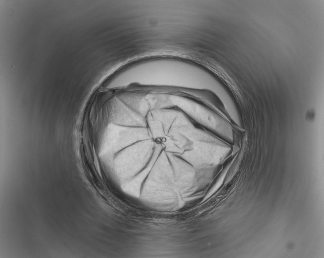 X0000116370436201001131751