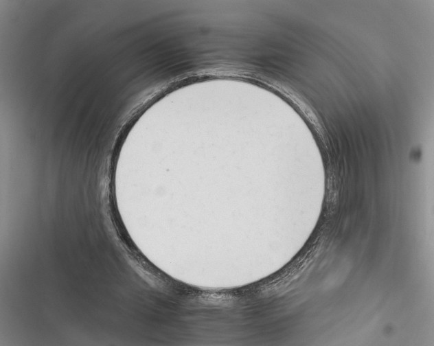 X0000116370437201001131751