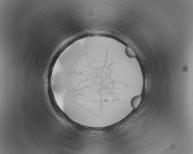 X0000116370438201001131751