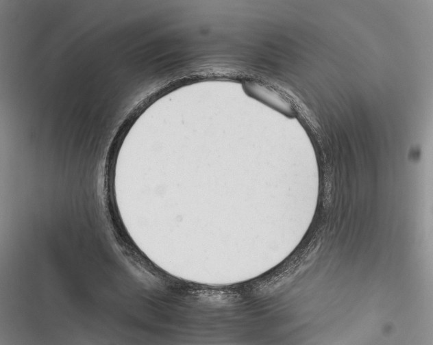 X0000116370439201001131751