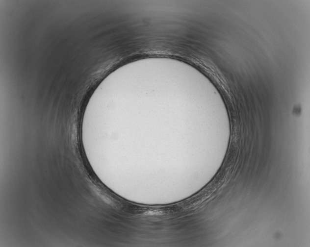 X0000116370441201001131751