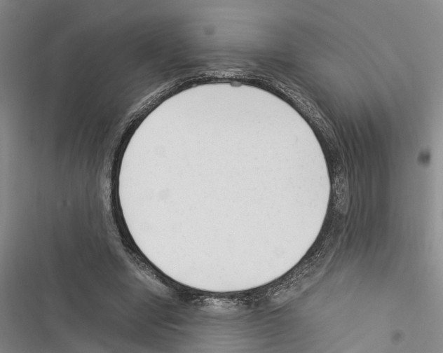 X0000116370442201001131751