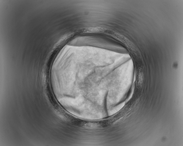 X0000116370444201001131751