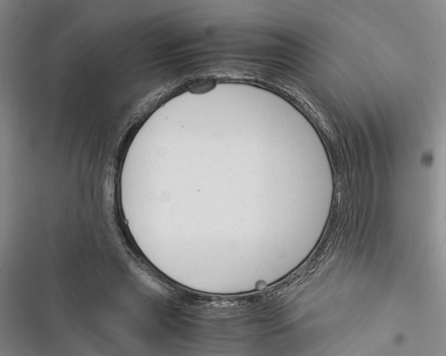 X0000116370445201001131751