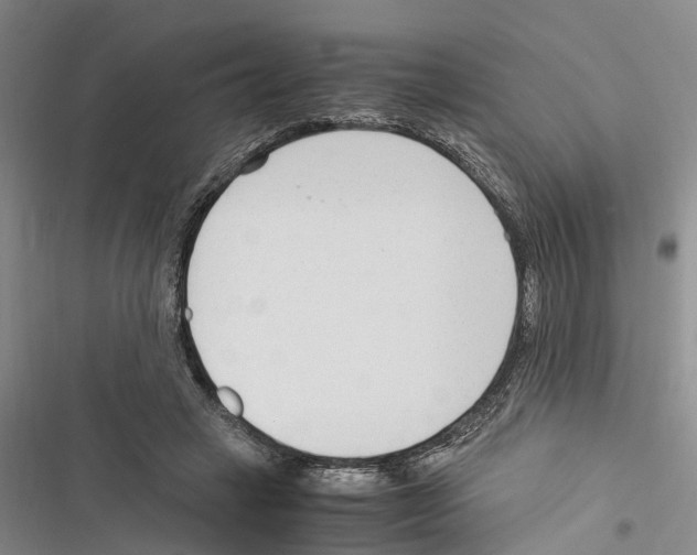 X0000116370449201001131751