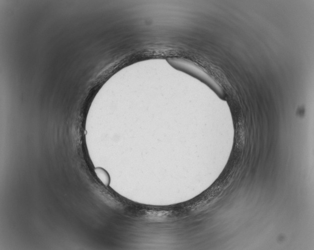 X0000116370450201001131751