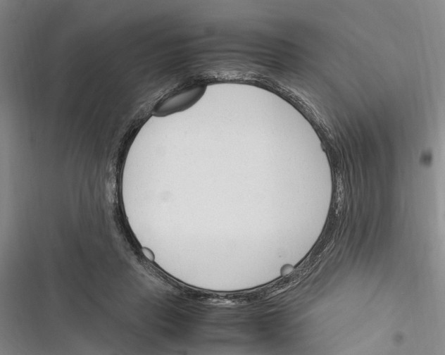 X0000116370453201001131751