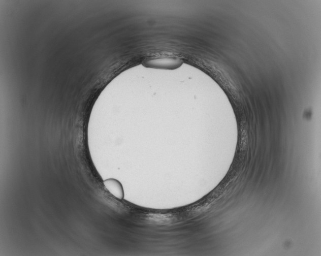 X0000116370457201001131751