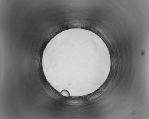 X0000116370459201001131751