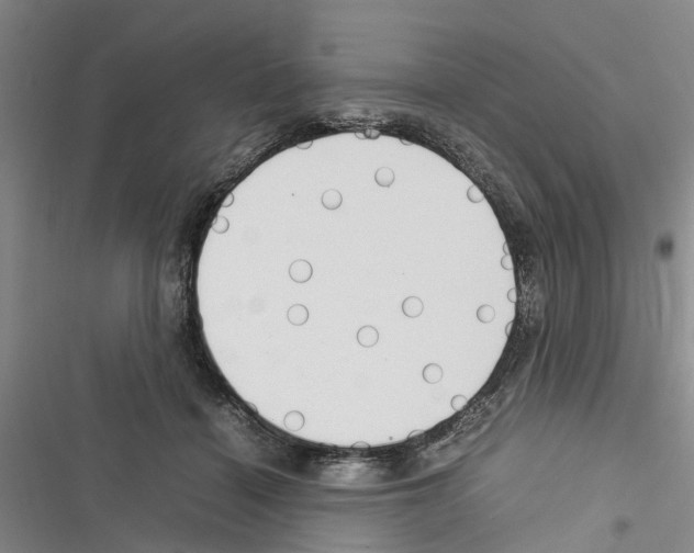 X0000116370460201001131751