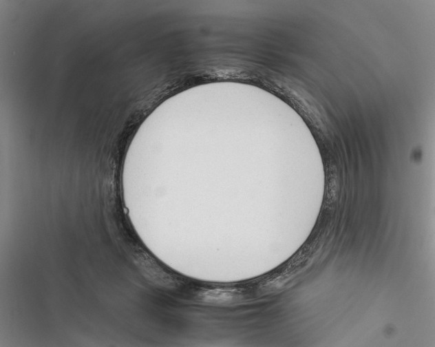 X0000116370461201001131751