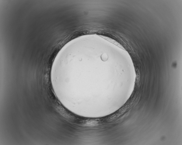 X0000116370462201001131751