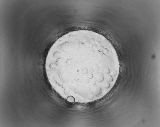 X0000116370466201001131751