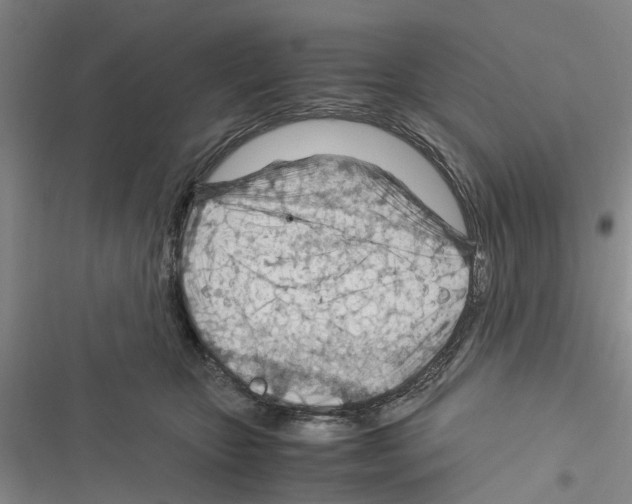 X0000116370467201001131751