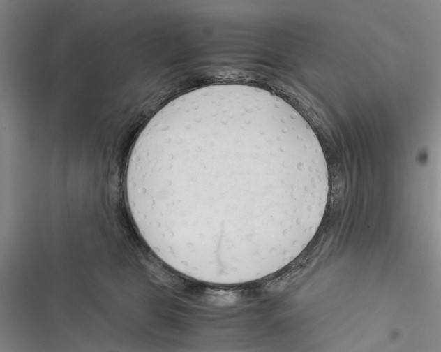 X0000116370469201001131751