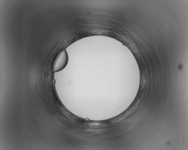 X0000116370473201001131751