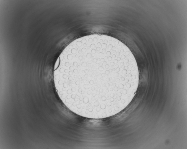 X0000116370478201001131751