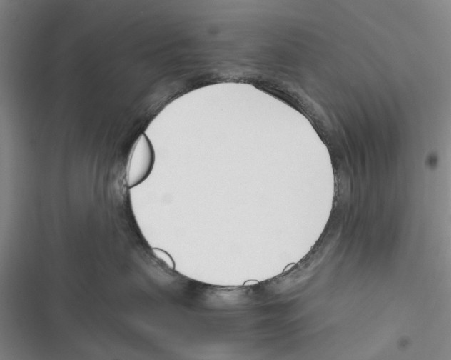 X0000116370479201001131751