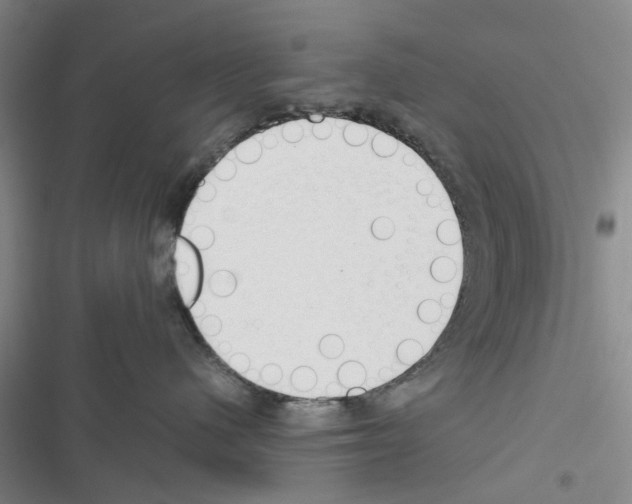 X0000116370480201001131751