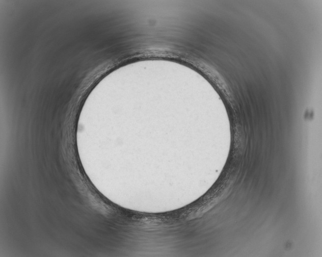 X0000116370481201001131751