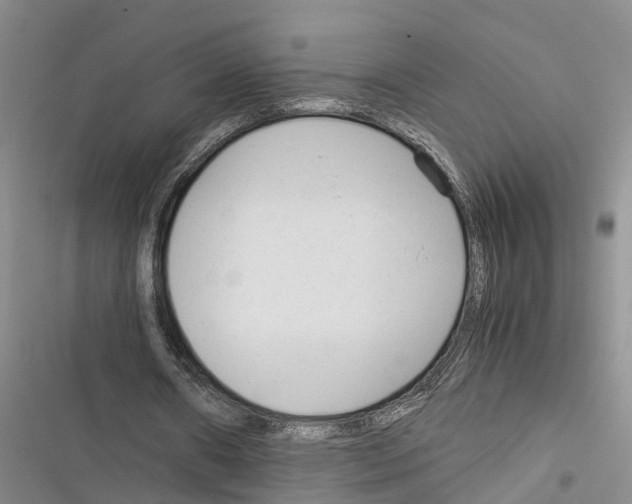 X0000116370482201001131751