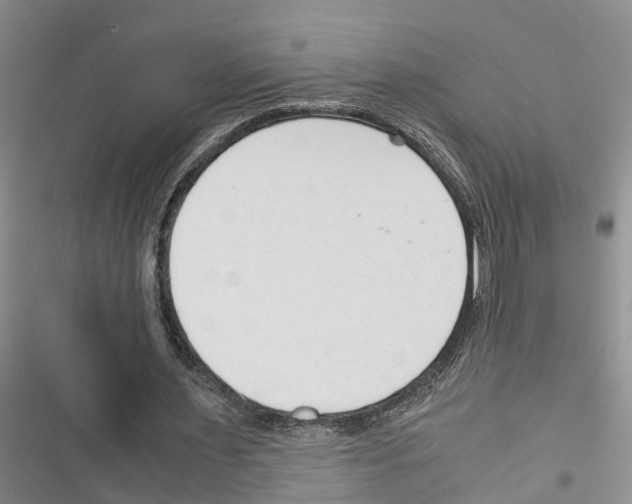 X0000116370483201001131751