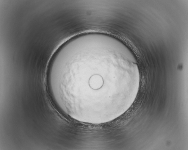 X0000116370484201001131751