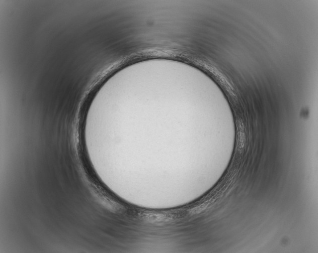 X0000116370486201001131750