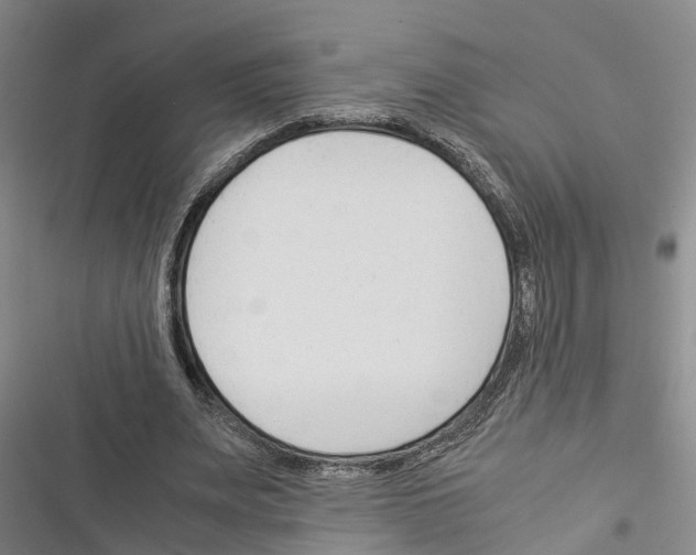 X0000116370487201001131750