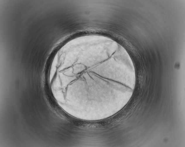 X0000116370488201001131750