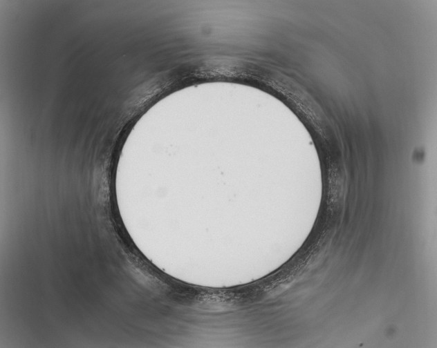 X0000116370489201001131750