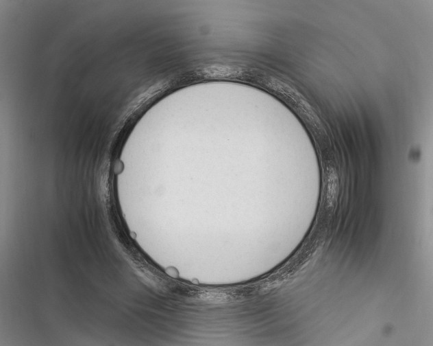 X0000116370490201001131750