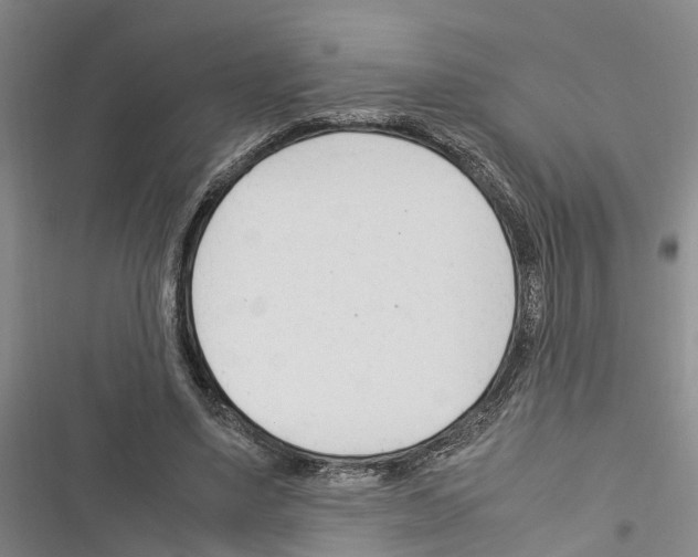 X0000116370491201001131750