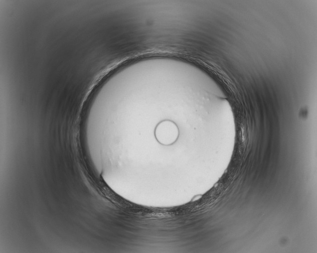 X0000116370492201001131750