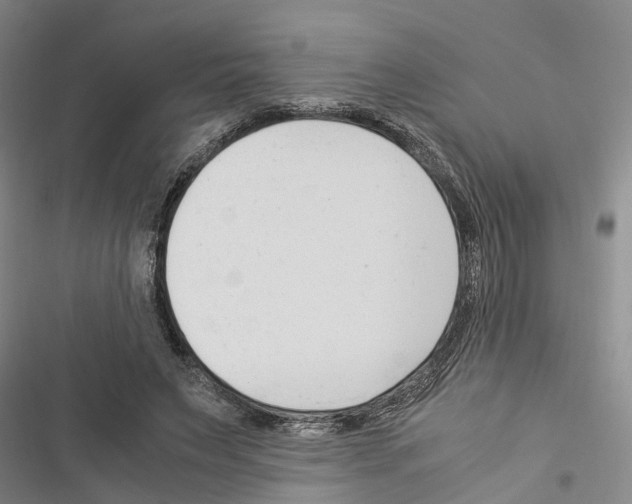 X0000116370495201001131750