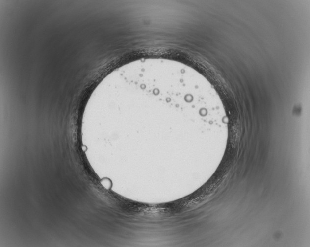 X0000116370497201001131750