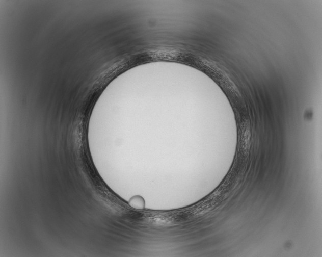 X0000116370498201001131750