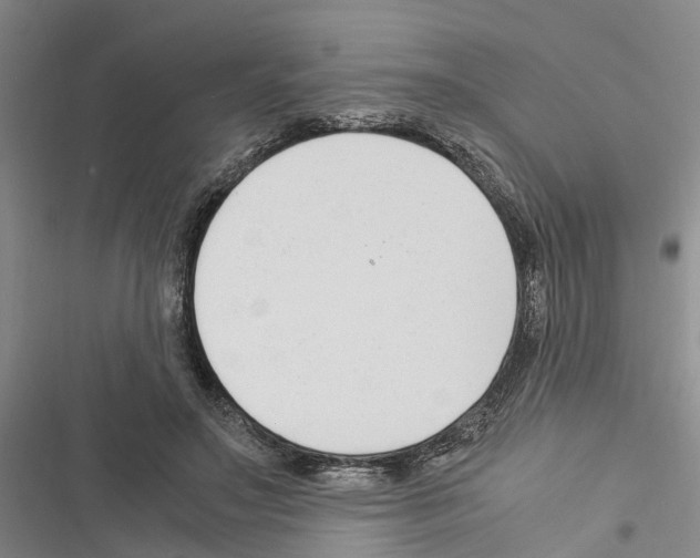 X0000116370499201001131750