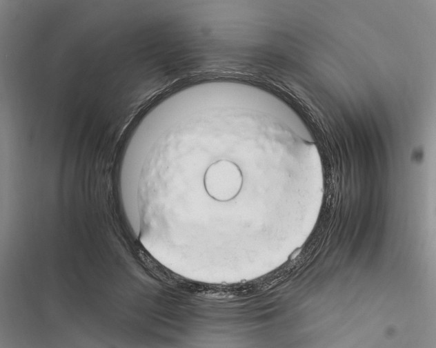 X0000116370500201001131750